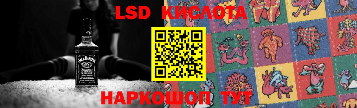 Галлюциногенные грибы Октябрьский