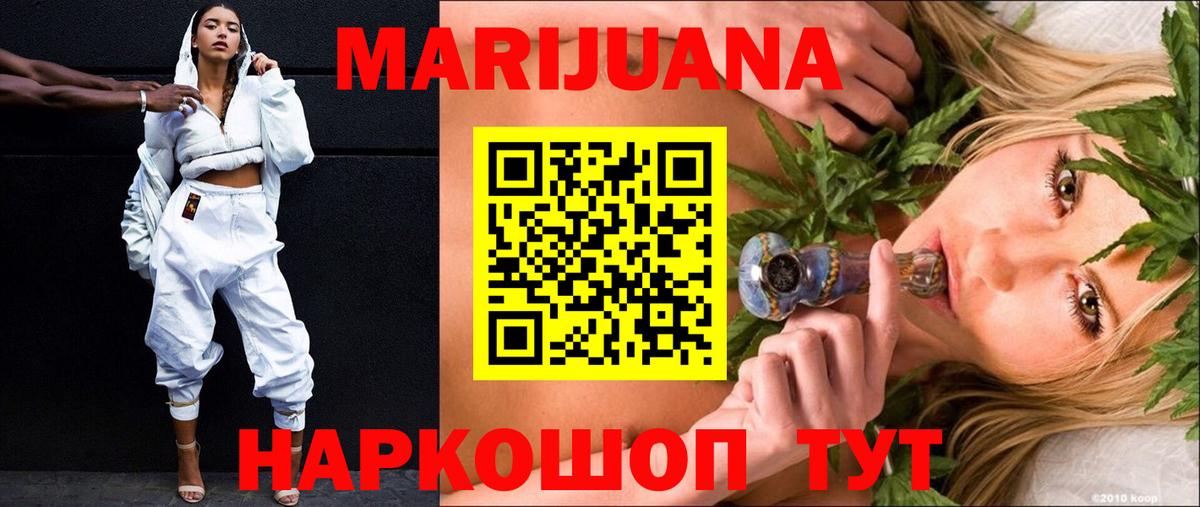Конопля сатива Октябрьский